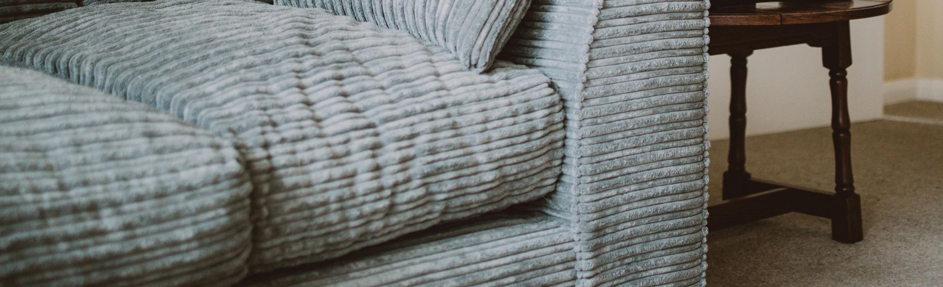 A chic living room featuring a plush blue sofa, indoor plant, and stylish decor elements.